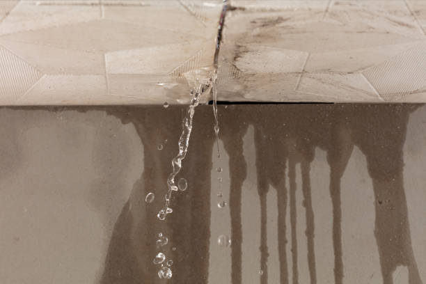 Professional Water Damage Inspection technician working in Huntsville, TX